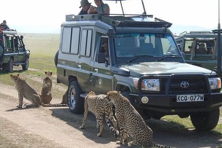Masai Mara 3 Day Safari | Private 4WD Jeep Tour
