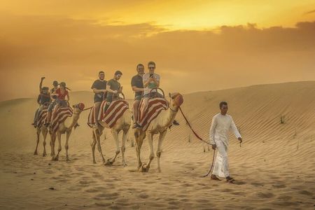 Morning Vip Red Dunes Safari: Camel Ride & Sandboarding Adventure