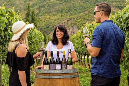 Queenstown Classic Wine Tour: 3 Winery Visits, Cave Tour & Cheese