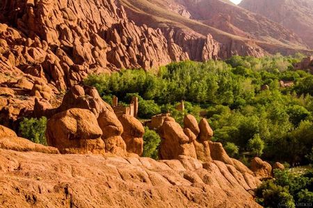 Dades Gorge Monkey Fingers Canyon Guided with Local Experience