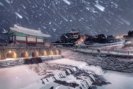 Korean Folk Village and Suwon Hwaseong Fortress Day Tour(EG Tour)