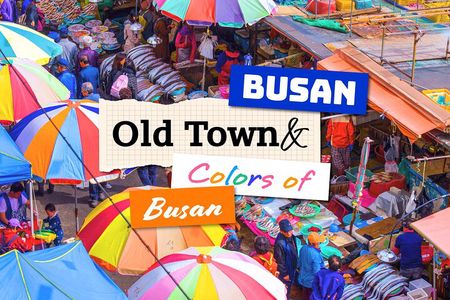 Colors of Busan: Sky Capsule, Jagalchi Market & Night Views