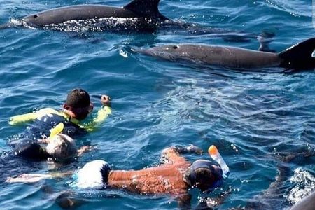Mnemba Snorkeling Atoll With Swimming with Turtle & Kendwa beach