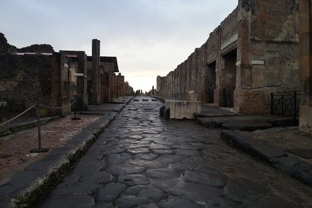 2H Group Tour + ticket of Pompeii & Herculaneum UNESCO sites