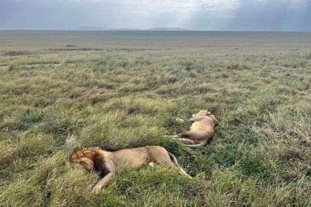 2 Days of Budget Safari to Tarangire and Ngorongoro