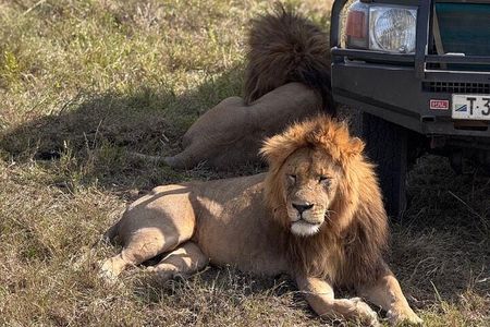 6 Days Private Serengeti Migration Safari