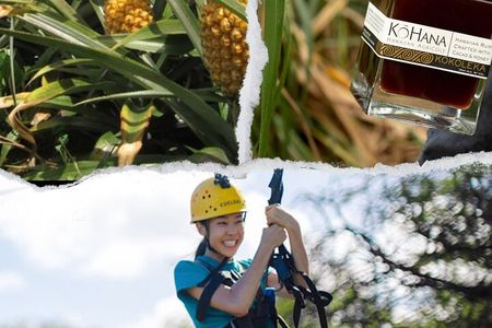 6 Zipline Tour at Coral Crater Adventure