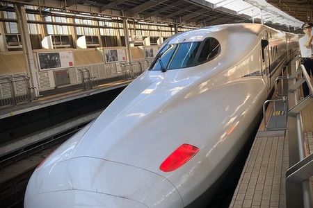 Kyoto Day Trip from Tokyo by Bullet Train Private Guided Tour
