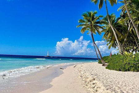 A Magical Day on Saona Island 