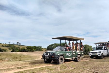 Schotia Private Game African Safari Guided Tour