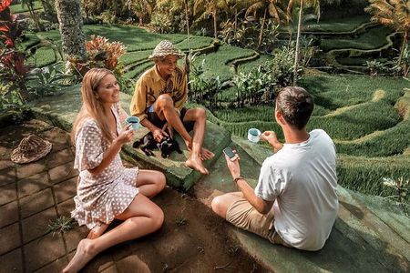 Half Day Ubud Private Tour - All Inclusive