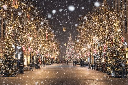 Asheville Holiday Season City Tour