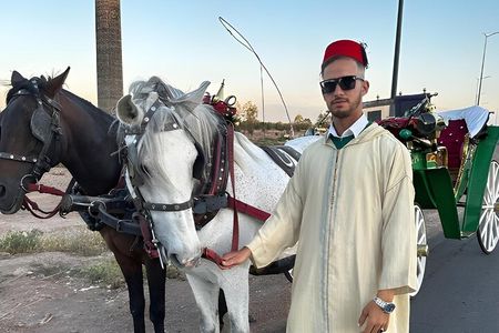 Private Horse Carriage Tour of Marrakech with Hamada