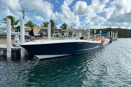 Group/Shared Half Day Afternoon, Bottom Fishing on Reel Bouys