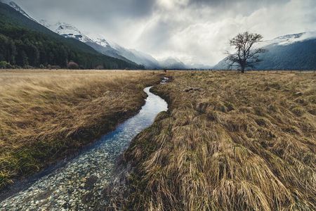 Half Day Queenstown to Glenorchy Private Photography Tour