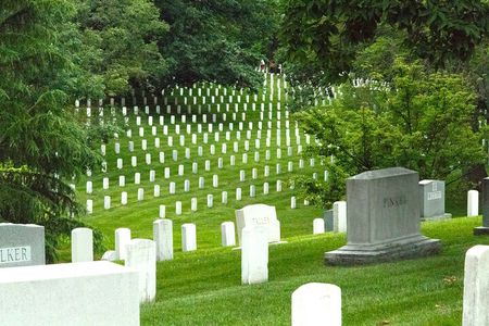 Arlington Cemetery Guided Walk with Optional City Monuments Tour