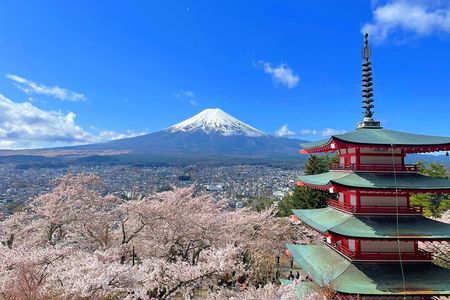 Spectacular Mt. Fuji and Lake Cruise, Noodles Making Experience