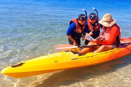 Gold Coast Kayaking & Snorkelling Tour (2.5 Hours)
