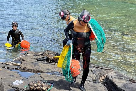 Jeju island: Van tour with a guide who the most loves JEJU