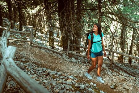Kefalonia: 4x4 Mount Ainos & Omala Valley Premium Van Adventure
