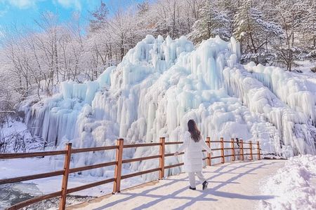 Eobi+Nami+Hanbok Tour with Rail Bike or Strawberry Option