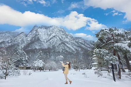 Mt. Seorak+Nami Island+Garden of Morning Calm Day Trip from Seoul