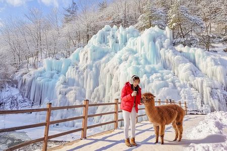 Alpaca, Nami, Eobi with Rail Bike or Strawberry