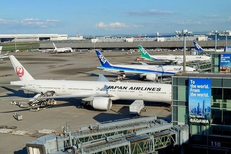 Tokyo Private 4-Hour Car Tour with Haneda Airport Transfer