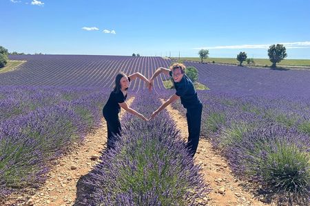 Provence Lavender Fields Tour from Aix-en-Provence
