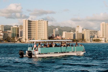 Waikiki Whale Watching Cruise
