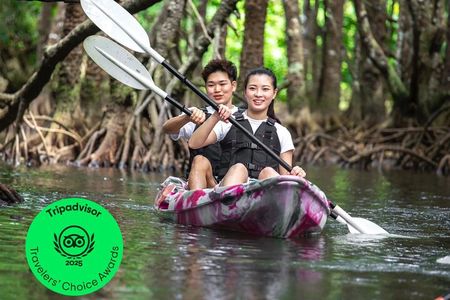 Okinawa Ishigaki Mangrove SUP or Canoe Tour