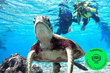 Okinawa Miyako Beach SUP or Canoe and sea turtle Snorkeling