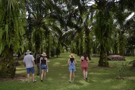 Quepos CR Chocolate and Spices Tour meals and transport included