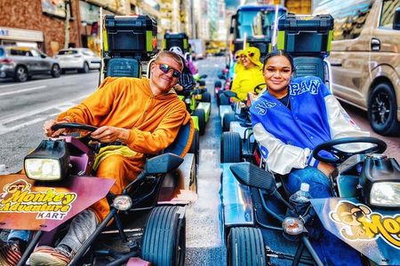 Explore Go Kart Tour in Tokyo(Shibuya crossing~Harajuku~Shinjuku)