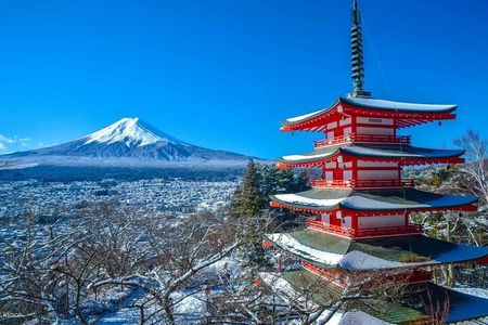 Mt. Fuji Private Tour and Hakone with Pro Guide in Luxury Vehicle