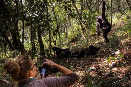 3 Days Uganda x2 Double Gorilla Trekking Safari From Kigali