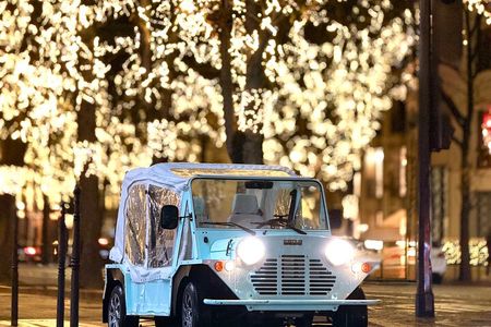 Private 1 - hour Tour: Eiffel Tower,Champs-Elysées Arc DE Triomphe