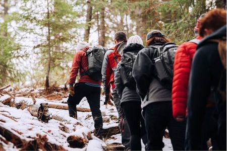 Explore Tahoe Forest Through the Eyes of a Certified Arborist