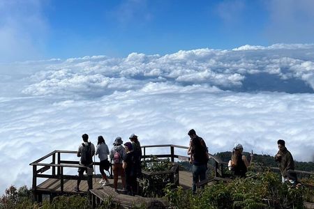 Doi inthanon National Park + 2Hour Fantastic Trekking with Lunch
