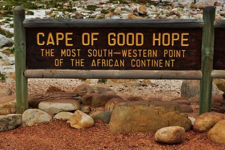 Cape of Good Hope & Boulders Penguins Full-Day Tour