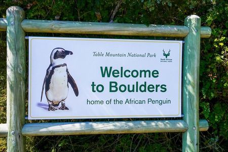 Private Cape Highlights Tour: Peninsula, Penguins & Winelands