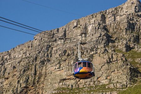 Table Mountain, Cape Point & Penguins Shared Tour