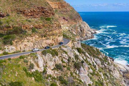  Private Cape Peninsula Tour: Cape Point & Boulders Penguins