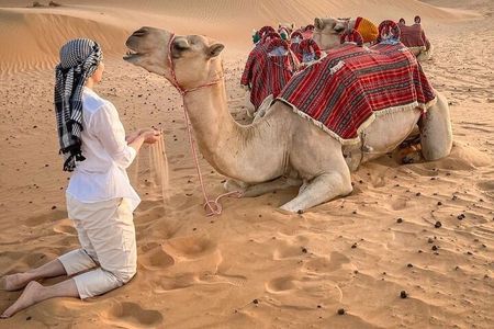 Dubai Morning Safari Tour, Camel, Falcon & Sand Boarding