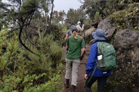 Best Mount Kilimanjaro Day hike - Marangu route