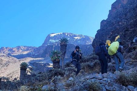 Mount Kilimanjaro: 6-Day Marangu Route Trekking Adventure 