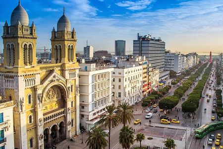 From Djerba Explore Tunisia 5-Day Tour with Various Modes