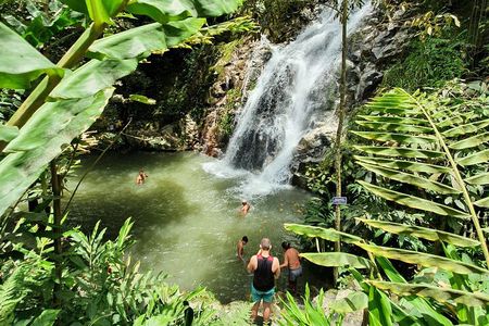Full Day Marinka Waterfall and Sierra Minca