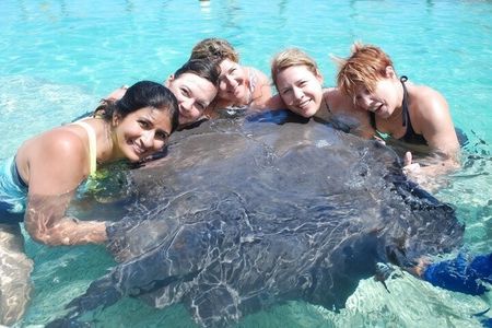Sharks & Stingrays Snorkeling in Punta Cana with Parasailing