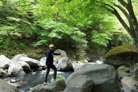 Hakone Valley Hike, Forest Bathing and Wagashi shop (Half-day)